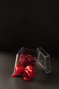 Rosa Preservada Acrílico