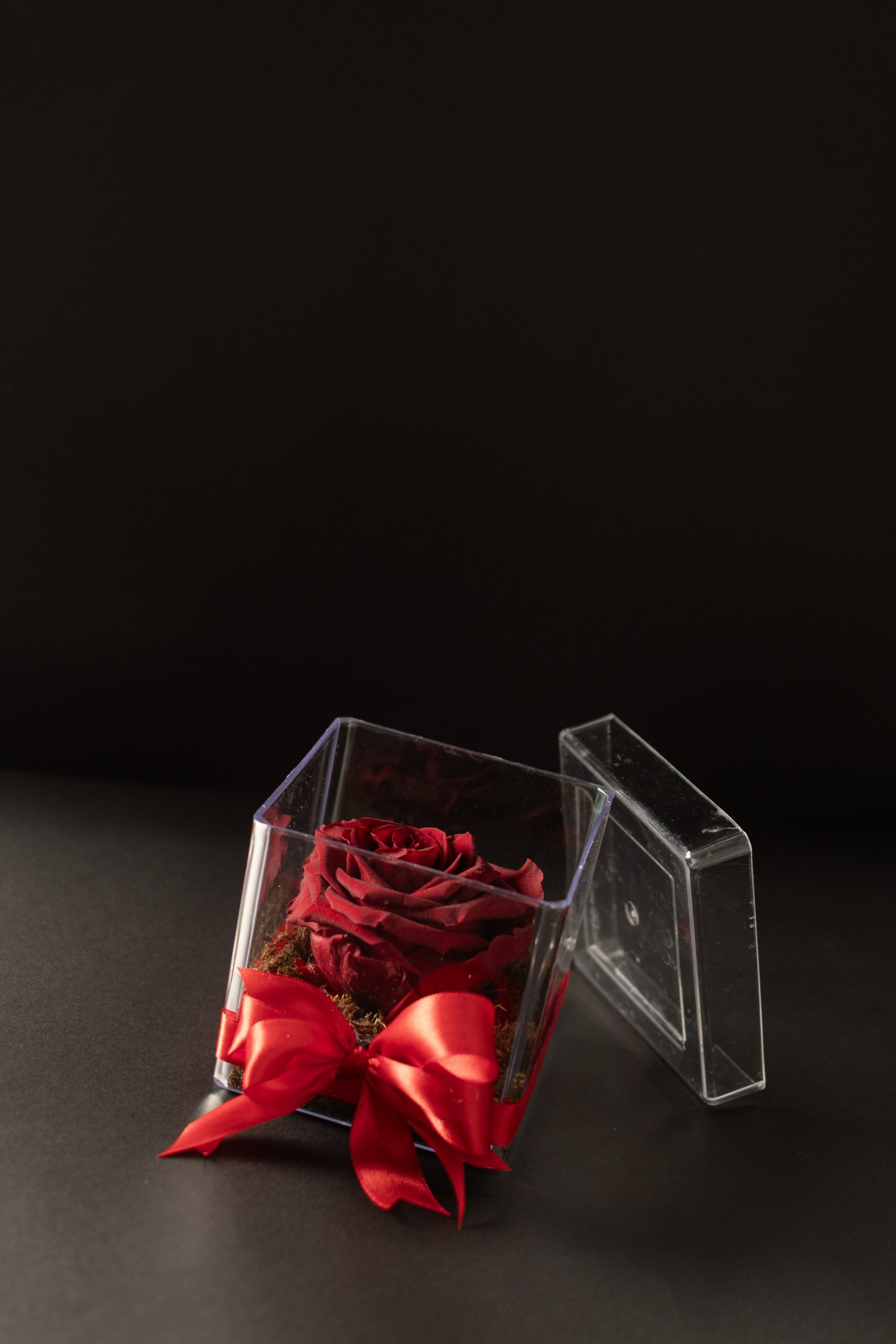 Rosa Preservada Acrílico