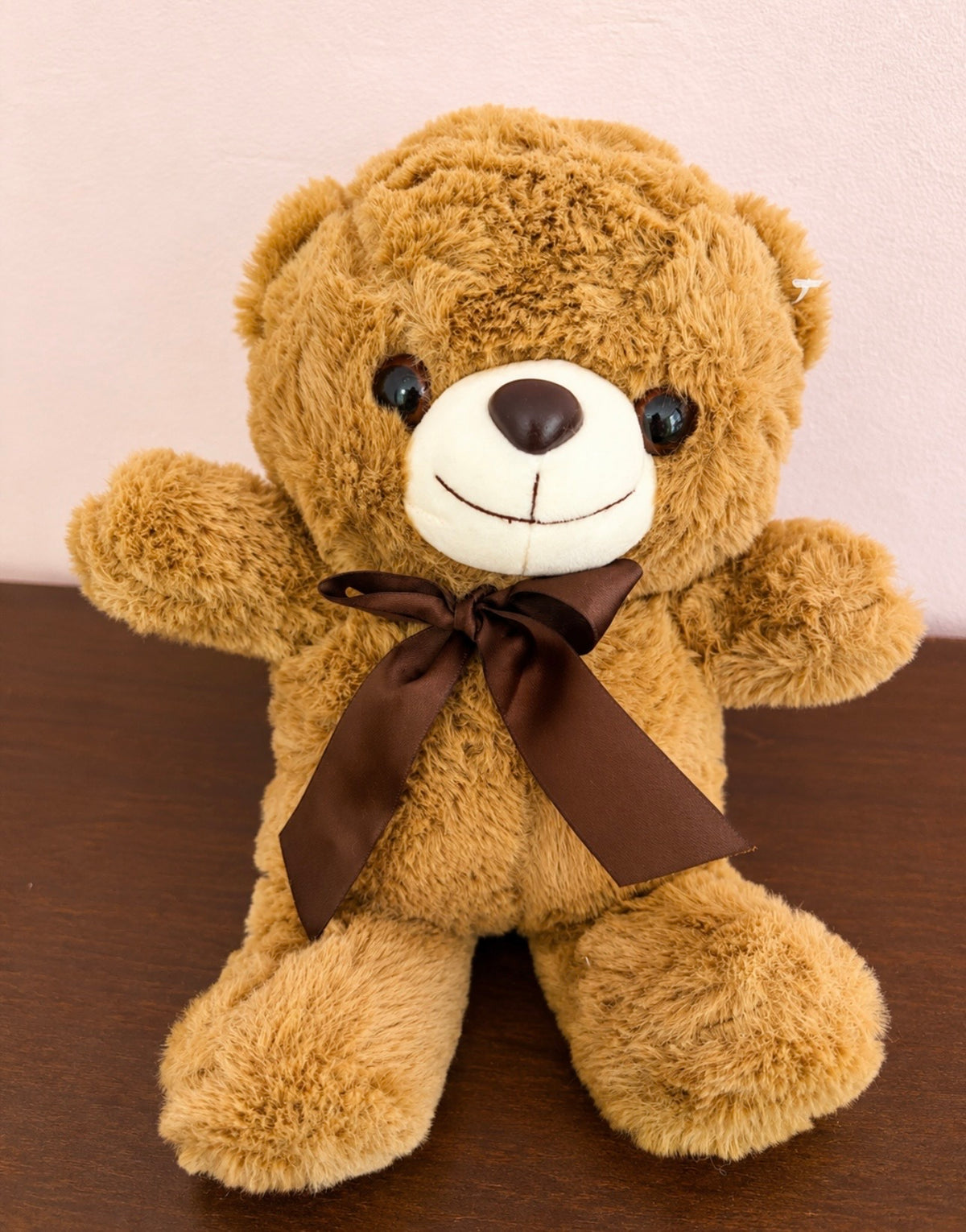 Osito Teddy