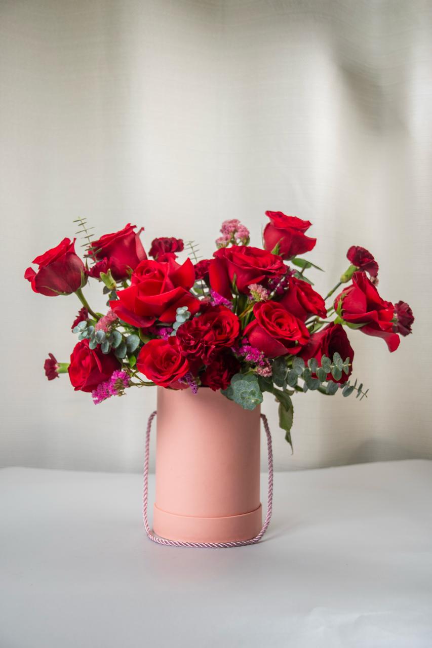 Blush Romance