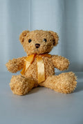 Osito Teddy