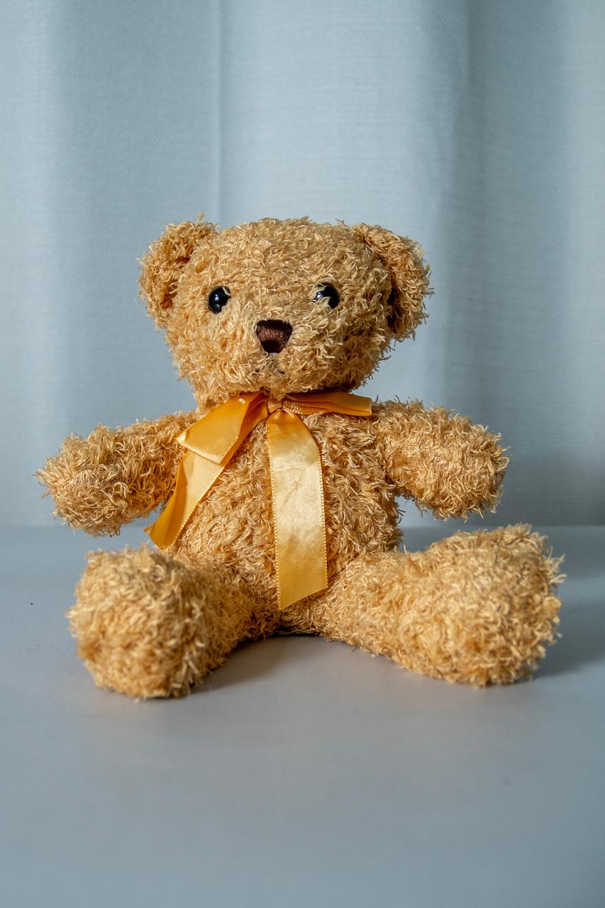 Osito Teddy